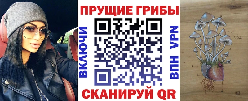 МЕГА Ревда Галлюциногенные грибы Psilocybine cubensis